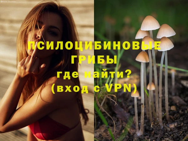 молекула духа Медвежьегорск
