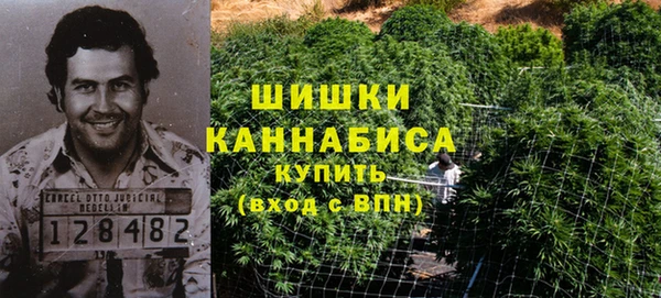 молекула духа Медвежьегорск