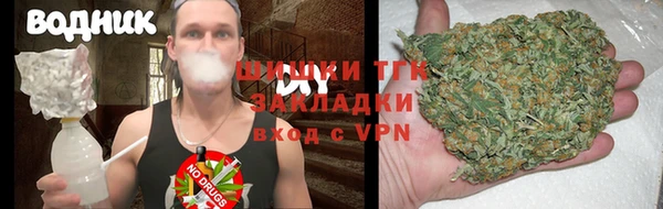 молекула духа Медвежьегорск