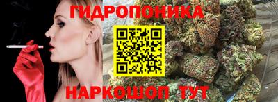 стафф Краснодар